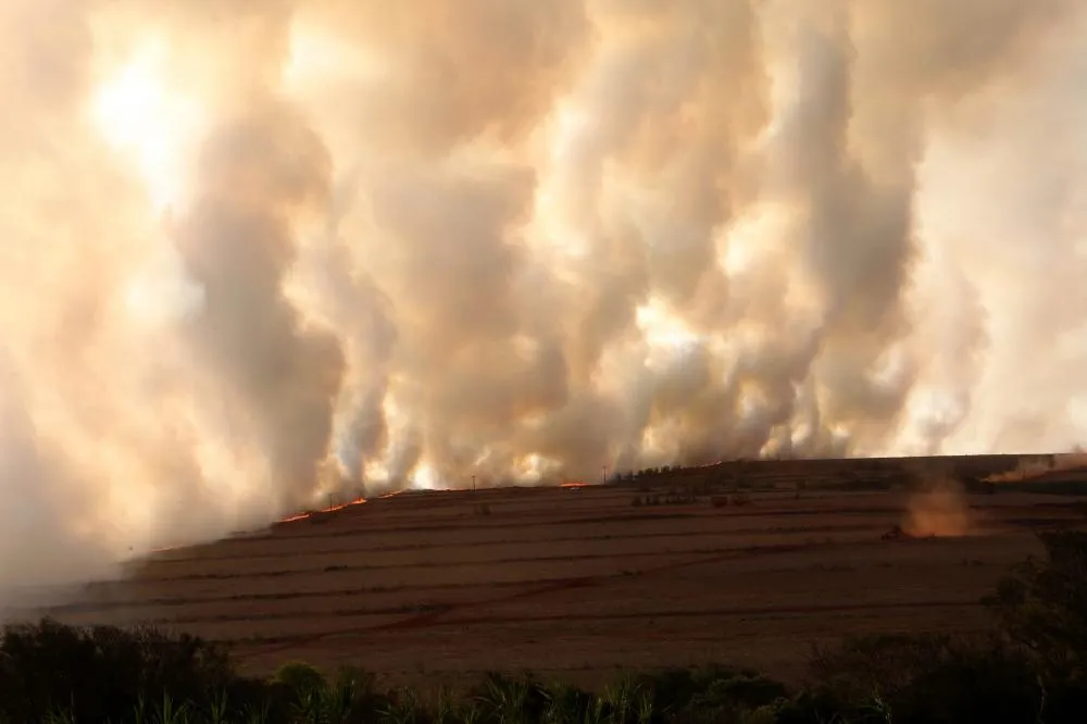 Calor extremo, baixa umidade e aumento significativo de focos de incêndio criam estado de alerta no Paraná. Foto:Gilson Abreu/AEN