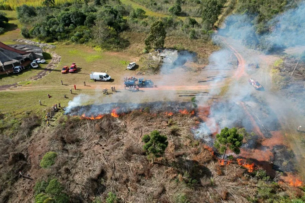 Foto: Divulgação.