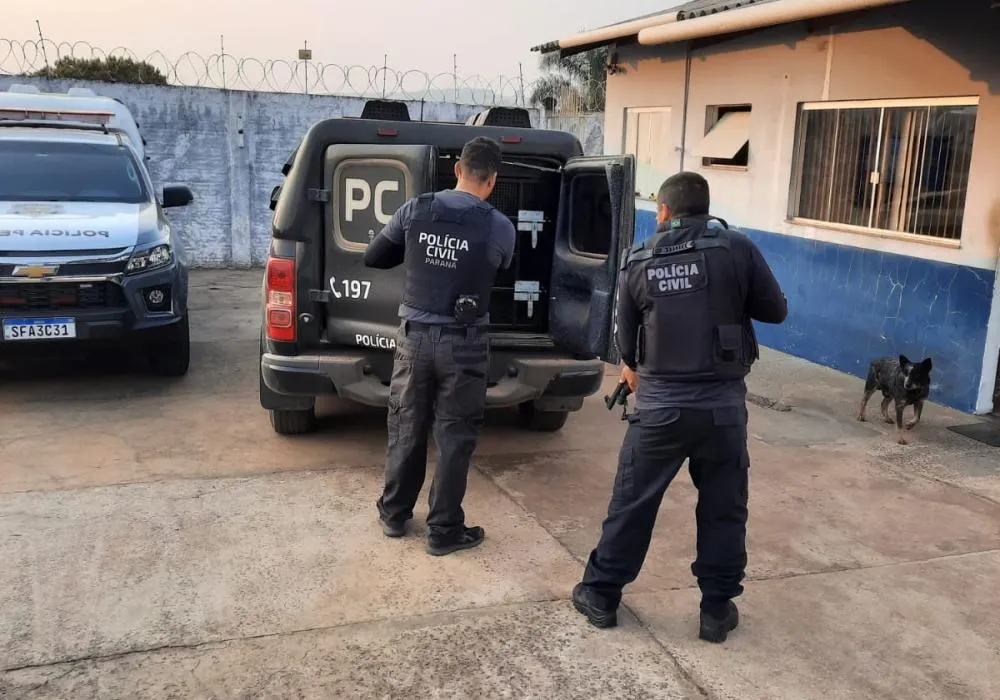 Foto: Divulgação.