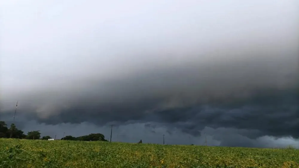 Foto: Ilustrativa - Reprodução/Internet