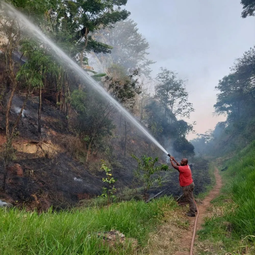 Bombeiro Civil Eliezer Soares Natalino Alves dos Santos em combate ao incêndio. Foto: Divulgação