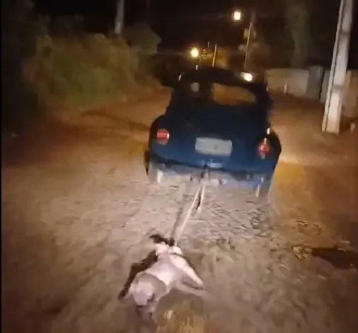 Foto: Divulgação.