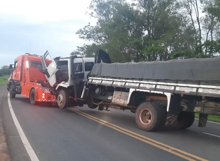 Foto: Divulgação.
