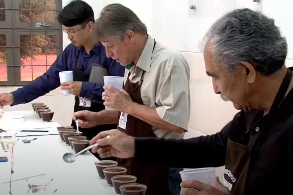 Na próxima terça-feira (12), o concurso Café Qualidade Paraná irá anunciar os vencedores deste ano em uma cerimônia no Mercado Municipal de Curitiba, Foto: IDR