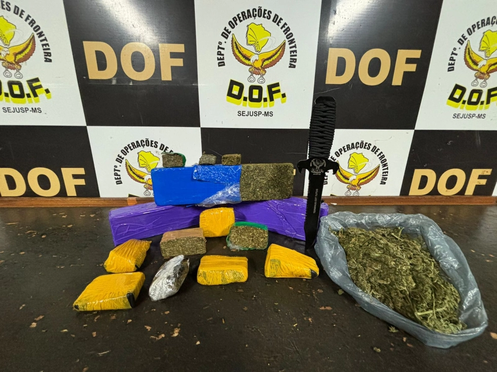 Foto: Divulgação.