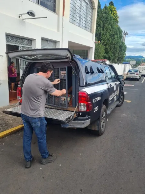 Foto: Divulgação PCPR