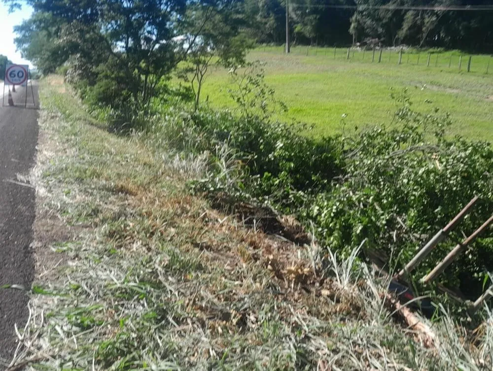 Foto: Divulgação.