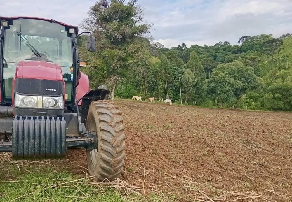 Foto: Divulgação.