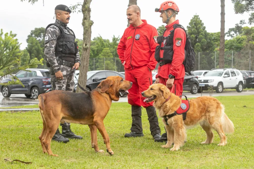 Foto: Divulgação.