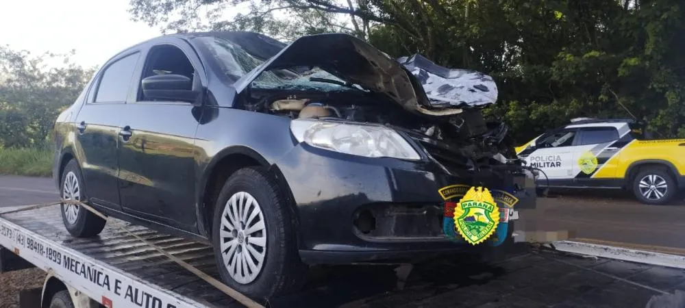 Foto: Divulgação.