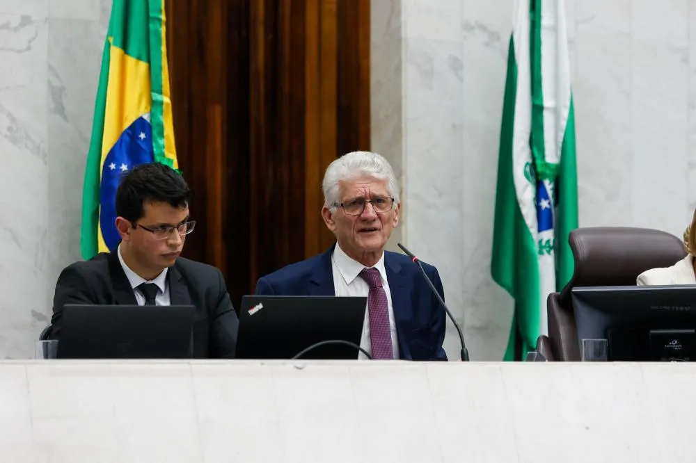 Foto: Divulgação.