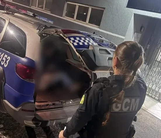 Foto: Divulgação.