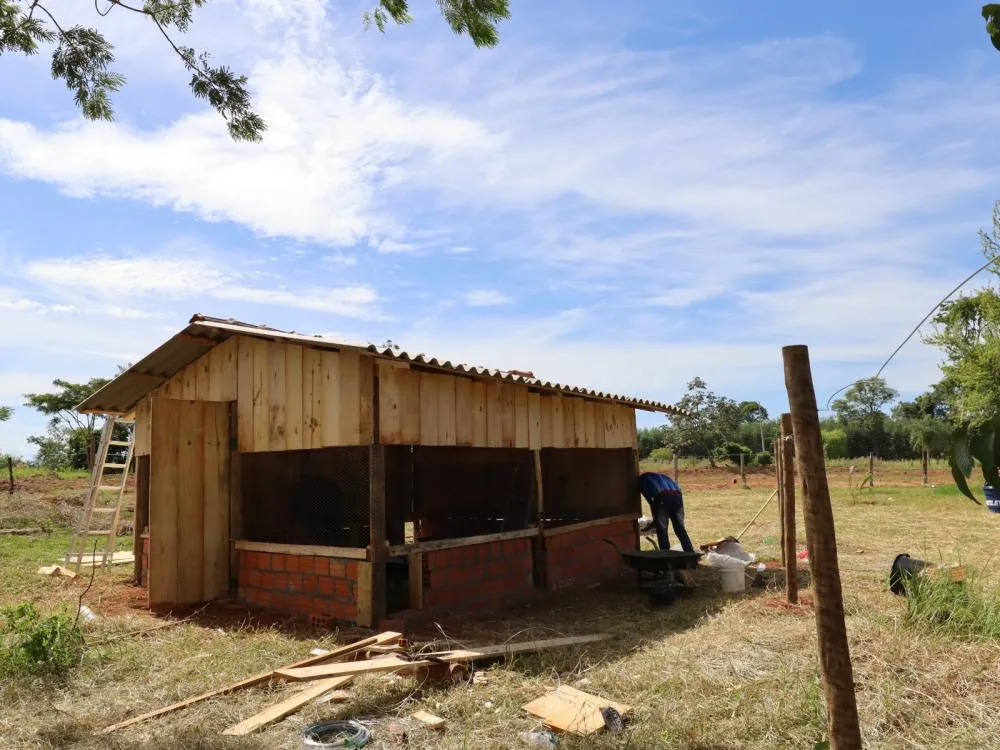 Foto: Divulgação/Assessoria de Comunicação FLD