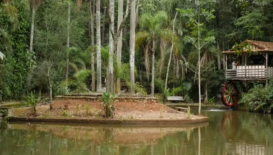 Foto: Reprodução RPC