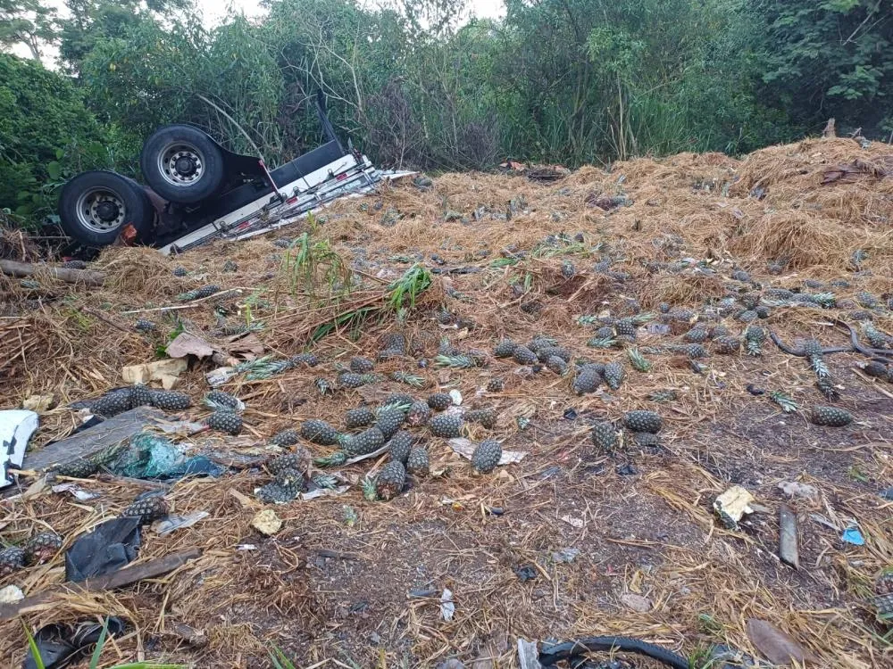 Foto: Divulgação.