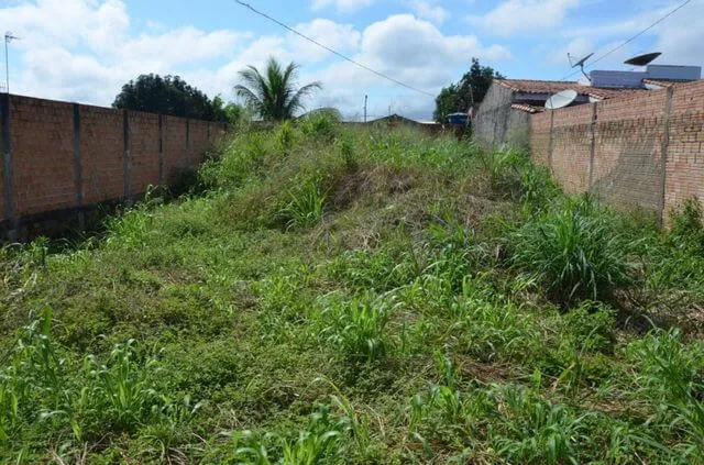 Foto: Divulgação.