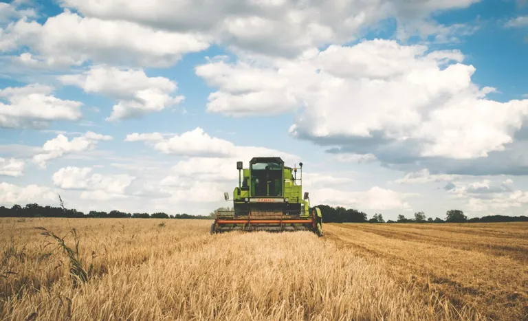 O seguro rural é destinado a produtores que cultivem ou produzam espécies contempladas pelo programa, independentemente do acesso ao crédito rural. Foto: Agência Gov