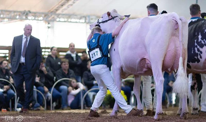 Evento começa na próxima quinta-feira (03). Foto: Cows Diário