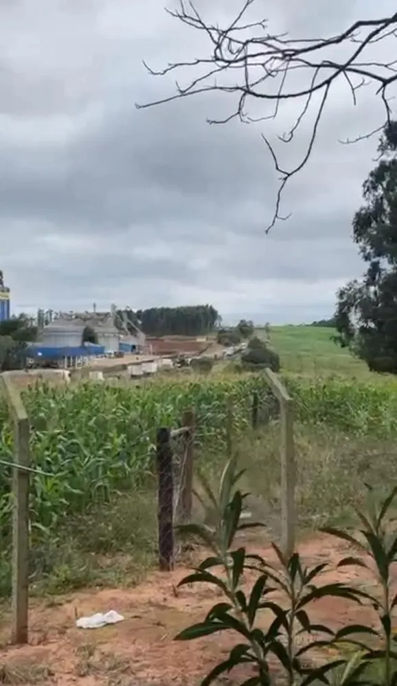 Acidente aconteceu próximo so silo da Pro Tork. Foto: Divulgação