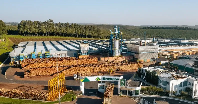 Segundo apuração exclusiva da Folha Extra, a BrasPine informou os colaboradores sobre a decisão na última quinta-feira (10), por meio de um comunicado interno. Foto Divulgação Empresa