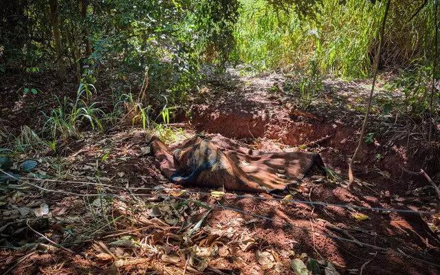 Foto: Henrique Kawaminami - Reprodução / Campo Grande News