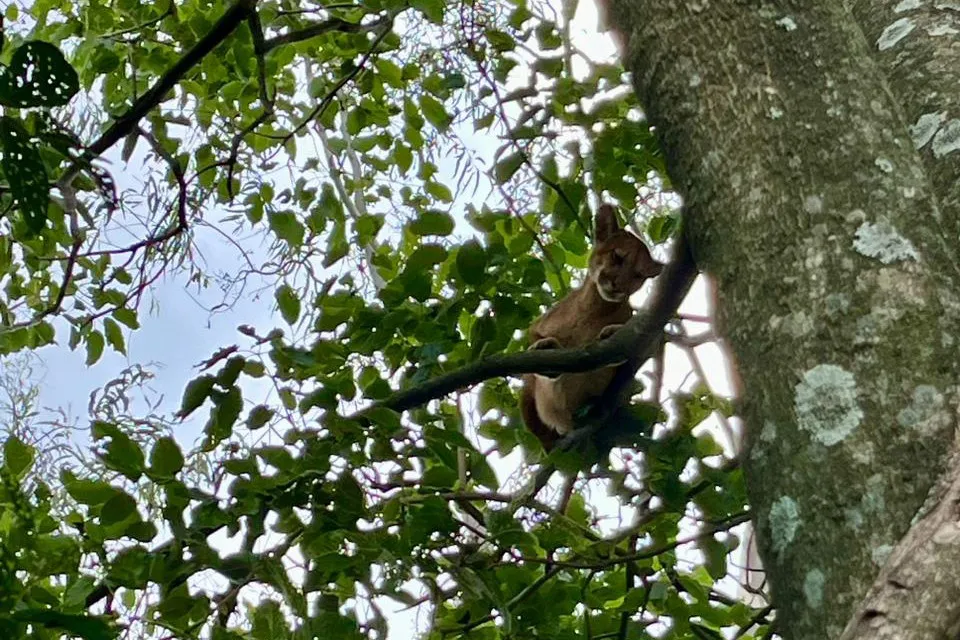 Foto: Divulgação.