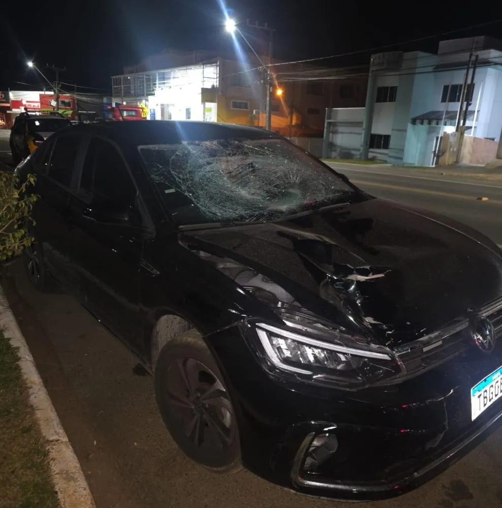 Foto: Divulgação.