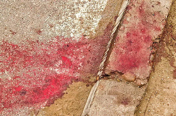 Foto: Ilustrativa - Reprodução/Internet