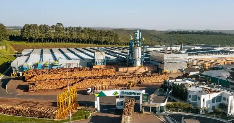 BrasPine, empresa madeireira de Jaguariaíva que demitiu mais de 200 funcionários por conta do tarifaço. Foto: Divulgação