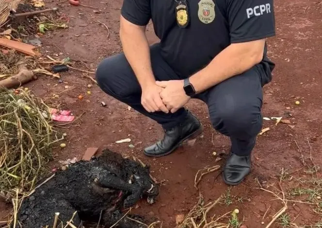 Foto: Divulgação.