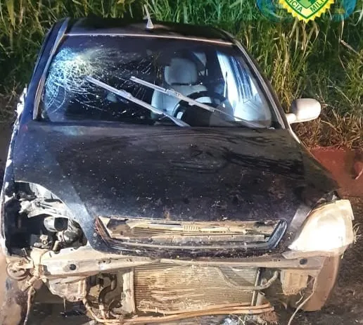 Foto: Divulgação.