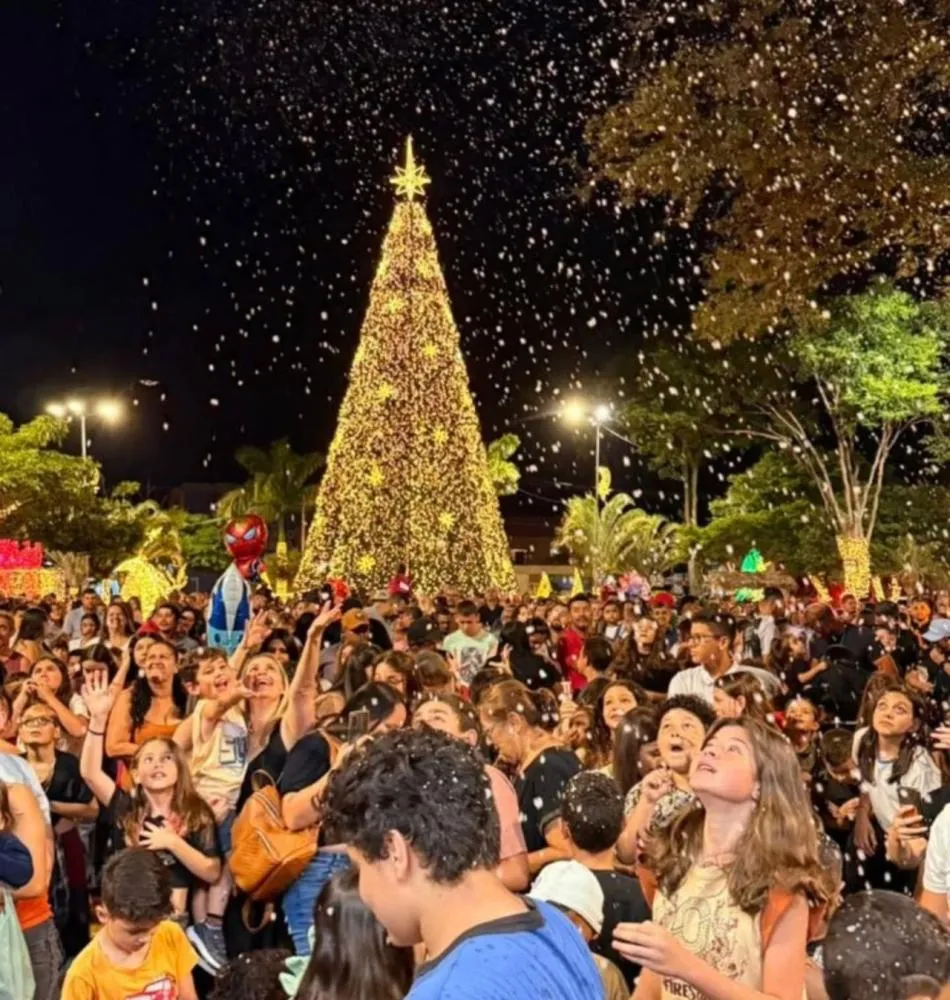Com luzes, decoração caprichada e neve, o público pôde apreciar um ambiente cuidadosamente preparado pela prefeitura. Foto: Divulgação