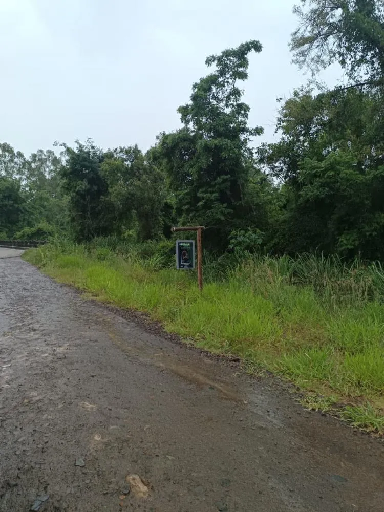 Trecho da Rota do Morango, em Jaboti. Foto: Divulgação
