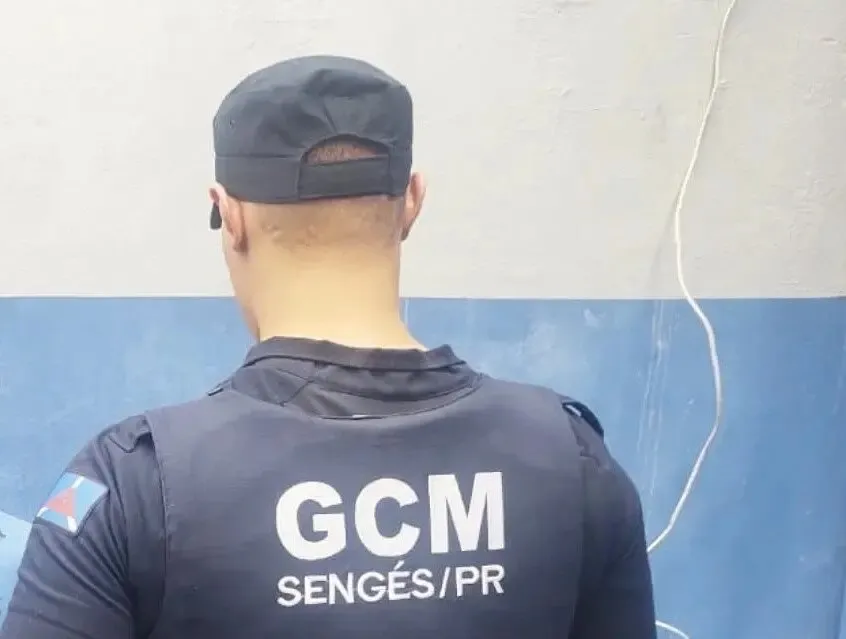 Ocorrência foi registrada pela Guarda Municipal de Sengés. Foto: Divulgação