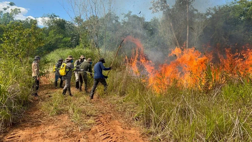 Brigada Florestal em treinamento no final de novembro. Foto: Luís Cesar Rodrigues da Silva/Itaipu Binacional