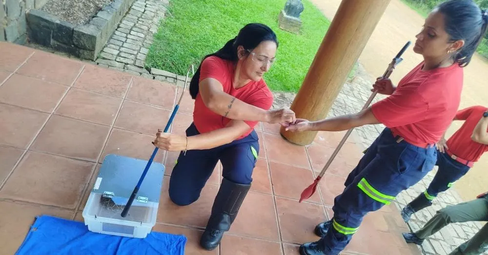 Durante a capacitação, os participantes tiveram acesso a conteúdos teóricos e práticos, abordando identificação de espécies, técnicas corretas de captura e uso de equipamentos. Foto: Divulgação
