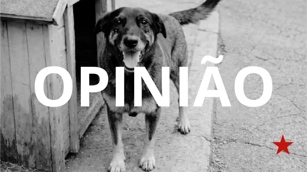 Foto: 