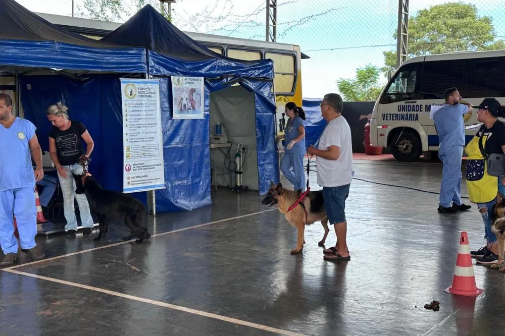 Além das castrações, o CastraPet Paraná desenvolve ações educativas voltadas à tutela responsável de cães e gatos, com foco especial em crianças e adolescentes. Foto: IAT