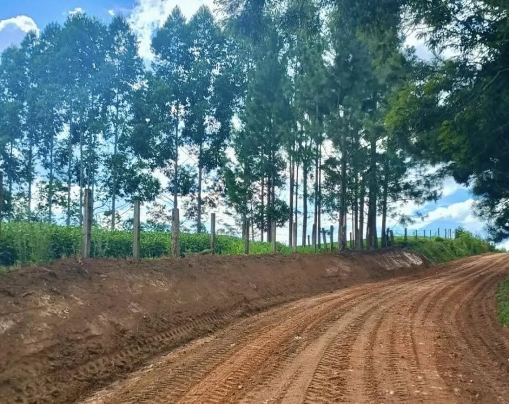 Foto: Divulgação. 