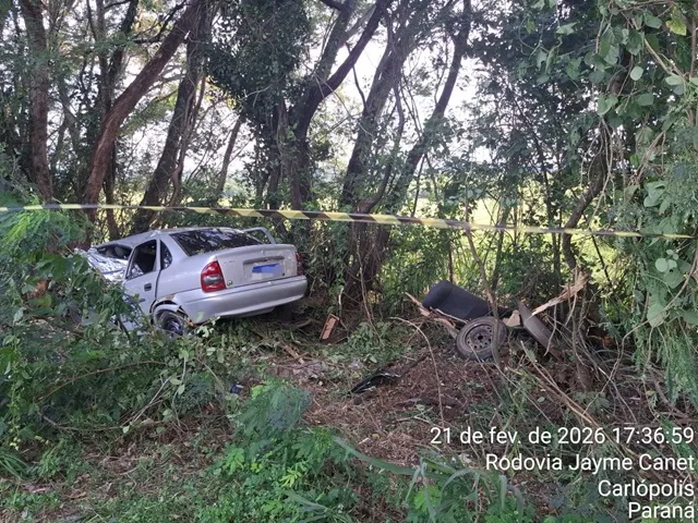 Condutor perdeu o controle da direção, saiu da pista e colidiu violentamente contra árvores às margens da rodovia. Foto Divulgação