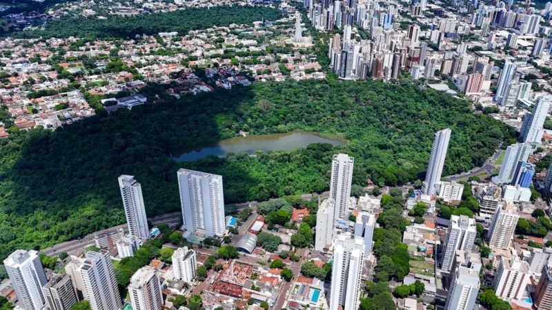 Maringá instituiu o Programa de Incentivo à Cidadania Ativa, que prevê pagamento de até R$ 1 mil para denúncias que ajudem a identificar infrações urbanas e ambientais. Foto: Divulgação