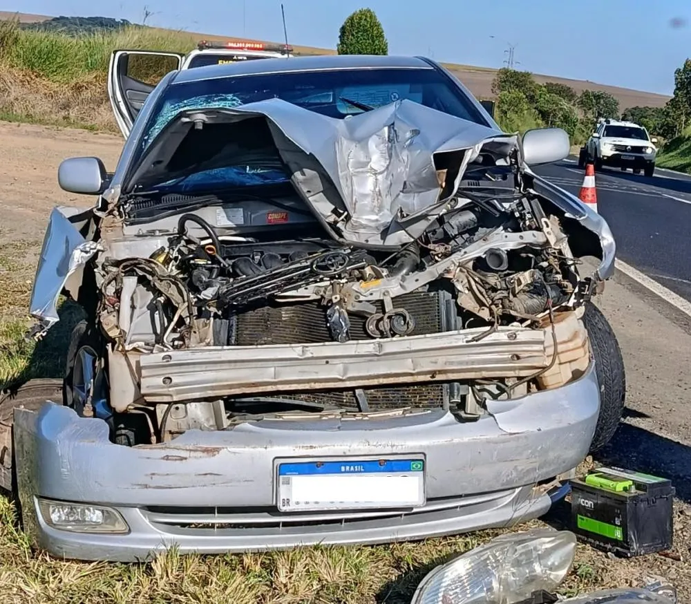Foto: Divulgação.