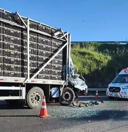 Acidente aconteceu na manhã desta sexta-feira (29). Foto: Divulgação