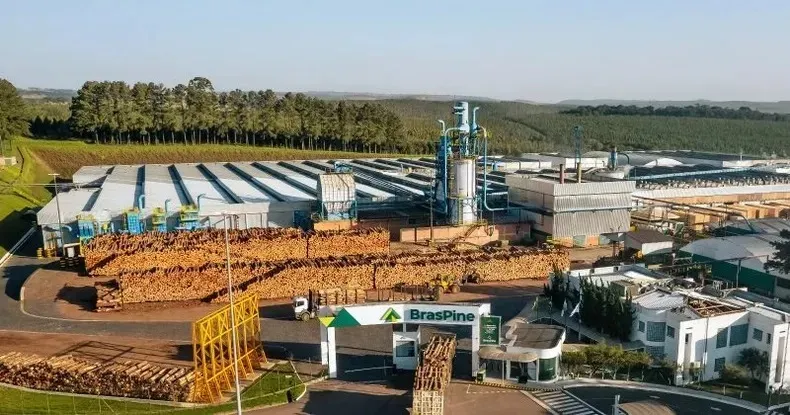 Uma das empresas mais afetadas na região foi a BrasPine. Foto: Divulgação
