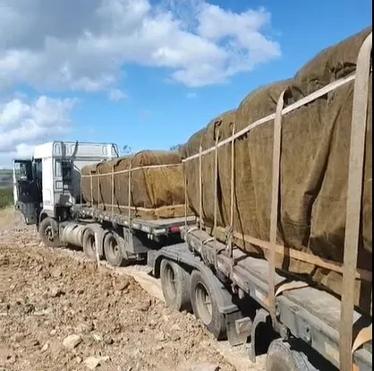 Foto: Reprodução/Tabajara Notícias