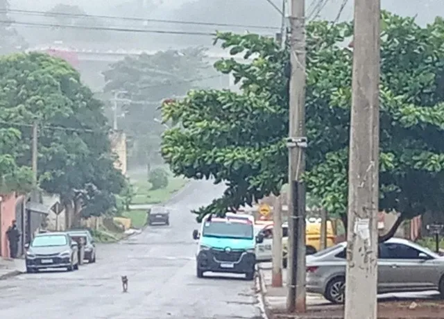 Foto: Divulgação