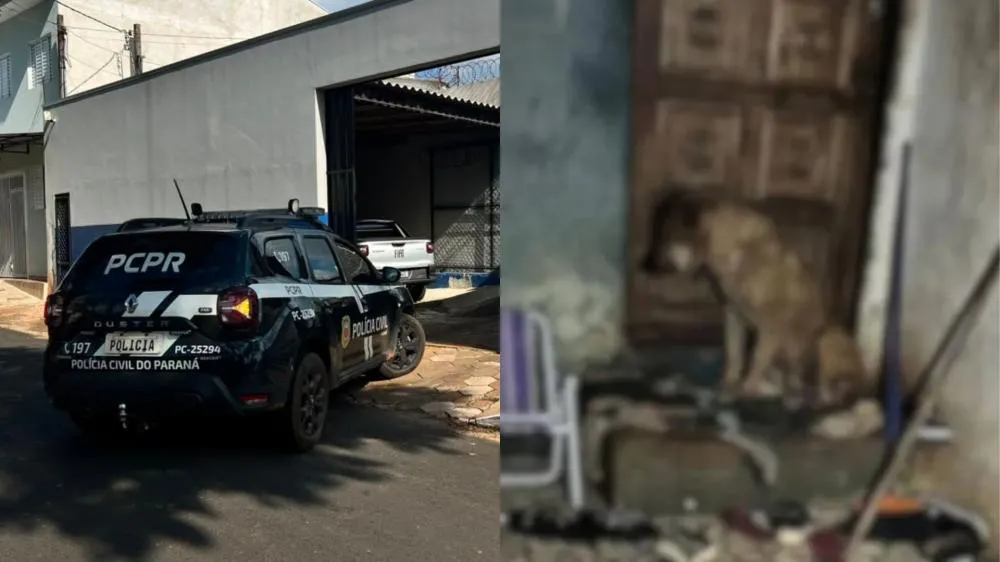 Acusado foi preso nesta segunda-feira (29). Foto: Folha Extra