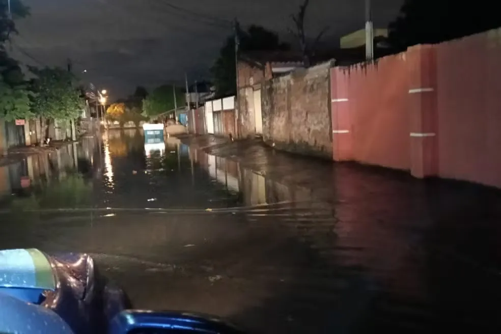 Chuva causa alagamentos e queda de árvore em Foz do Iguaçu — Foto: Defesa Civil