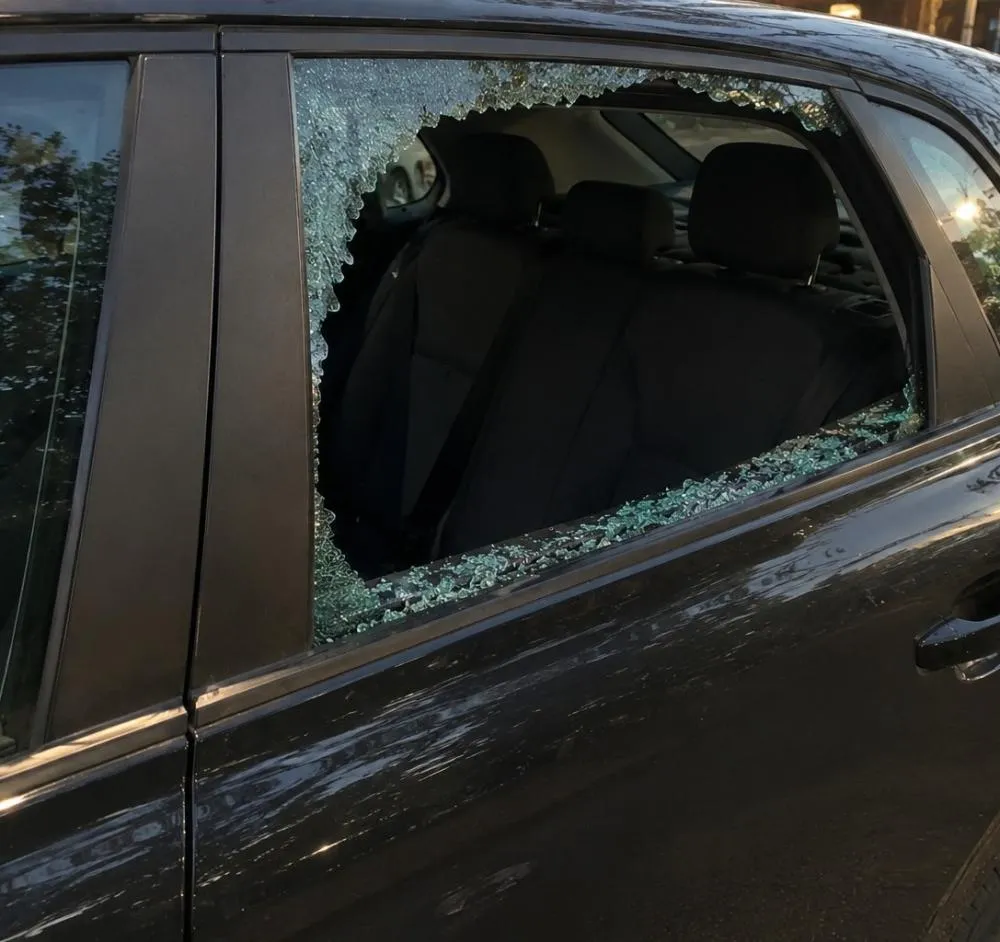 Sem outra alternativa para retirar o animal, os policiais quebraram o vidro de uma das portas do carro e realizaram o resgate. Foto: IA - Folha Extra