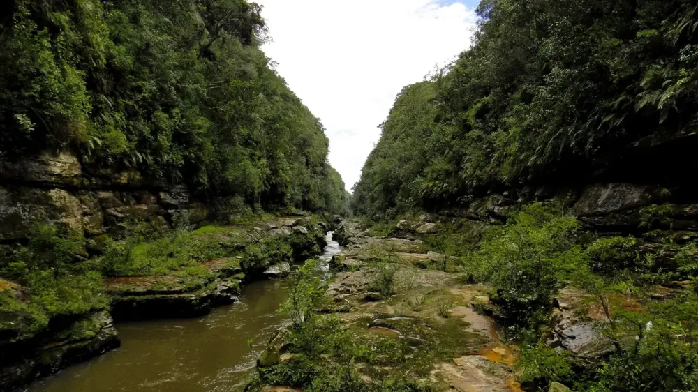 Cânion em Jaguariaíva (Carlos Ornellas/Wikimedia Commons) 